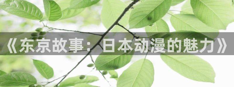禁漫天堂成人：《东京故事：日本动漫的魅力》