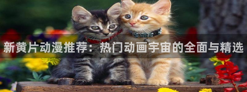 禁漫天堂便捷：新黄片动漫推荐：热门动画宇宙的全面与精选