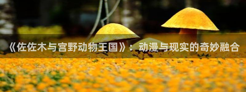 禁漫天堂,在线观看：《佐佐木与宫野动物王国》：动漫与现实的奇妙融合