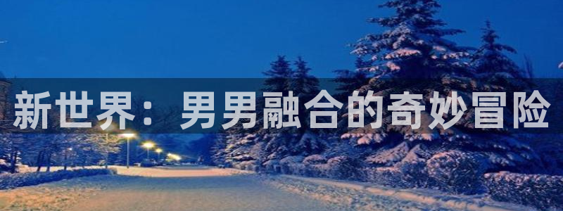 禁漫天堂.c：新世界：男男融合的奇妙冒险