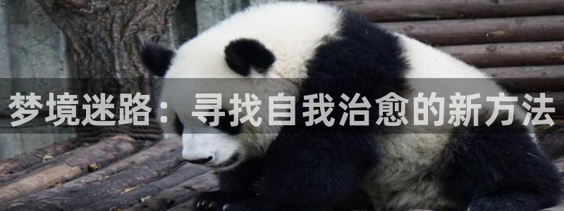 禁漫天堂网页版在线：梦境迷路：寻找自我治愈的新方法